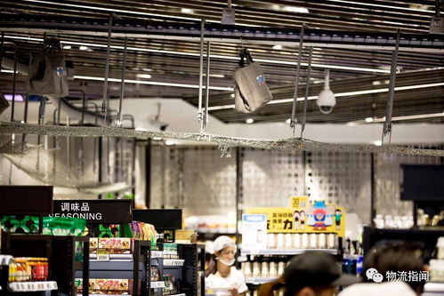 盒馬物流的卓越之處 2小時背后的秘密與健康咨詢服務的結合